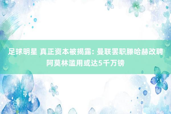 足球明星 真正资本被揭露: 曼联罢职滕哈赫改聘阿莫林滥用或达5千万镑