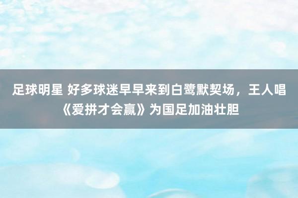 足球明星 好多球迷早早来到白鹭默契场，王人唱《爱拼才会赢》为国足加油壮胆