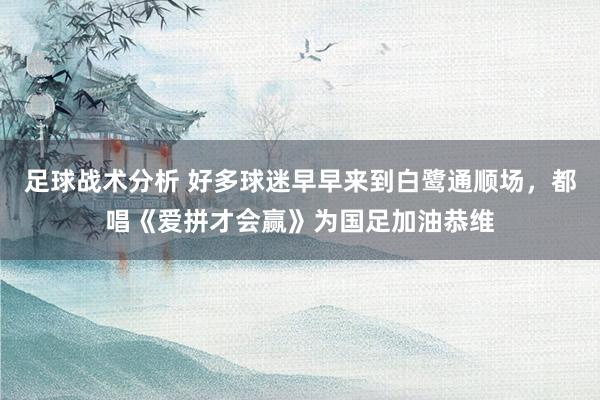 足球战术分析 好多球迷早早来到白鹭通顺场，都唱《爱拼才会赢》为国足加油恭维