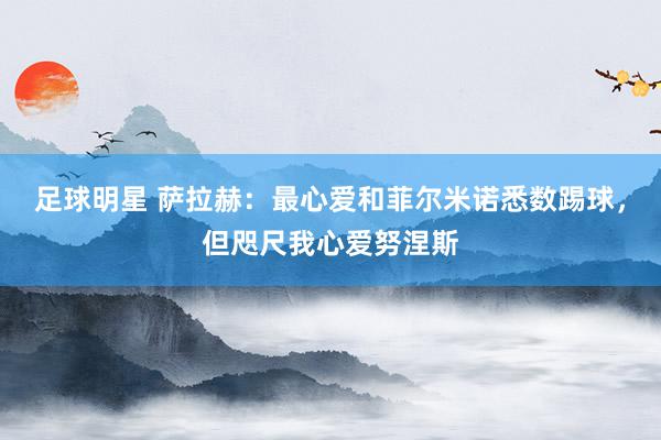 足球明星 萨拉赫：最心爱和菲尔米诺悉数踢球，但咫尺我心爱努涅斯