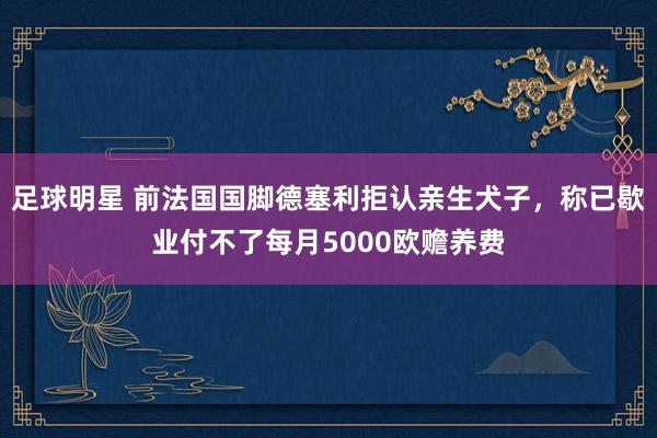 足球明星 前法国国脚德塞利拒认亲生犬子，称已歇业付不了每月5000欧赡养费