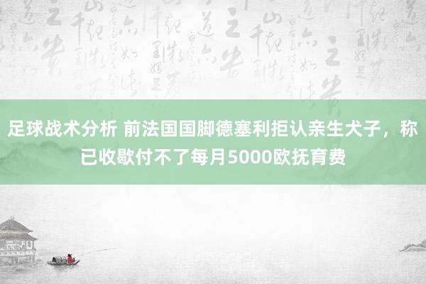 足球战术分析 前法国国脚德塞利拒认亲生犬子，称已收歇付不了每月5000欧抚育费