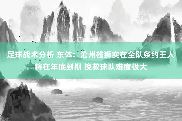 足球战术分析 东体：沧州雄狮实在全队条约王人将在年底到期 挽救球队难度极大