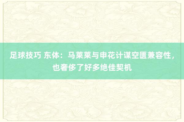 足球技巧 东体：马莱莱与申花计谋空匮兼容性，也奢侈了好多绝佳契机