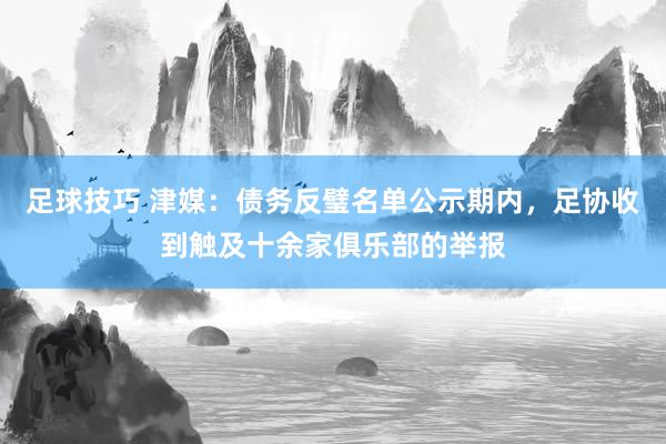 足球技巧 津媒：债务反璧名单公示期内，足协收到触及十余家俱乐部的举报