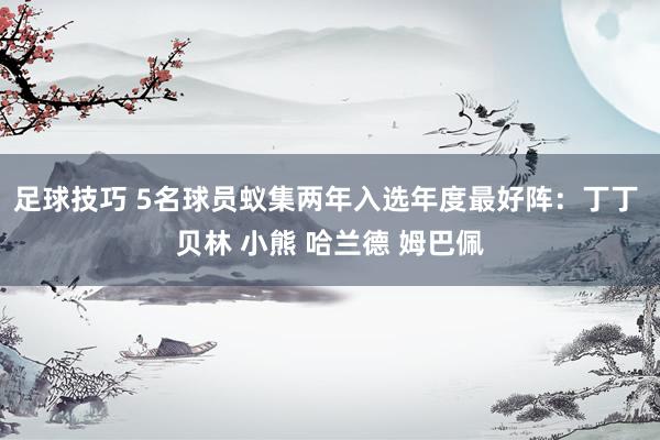 足球技巧 5名球员蚁集两年入选年度最好阵：丁丁 贝林 小熊 哈兰德 姆巴佩